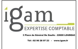 IGAM EXPERTISE COMPTABLE LOUDEAC